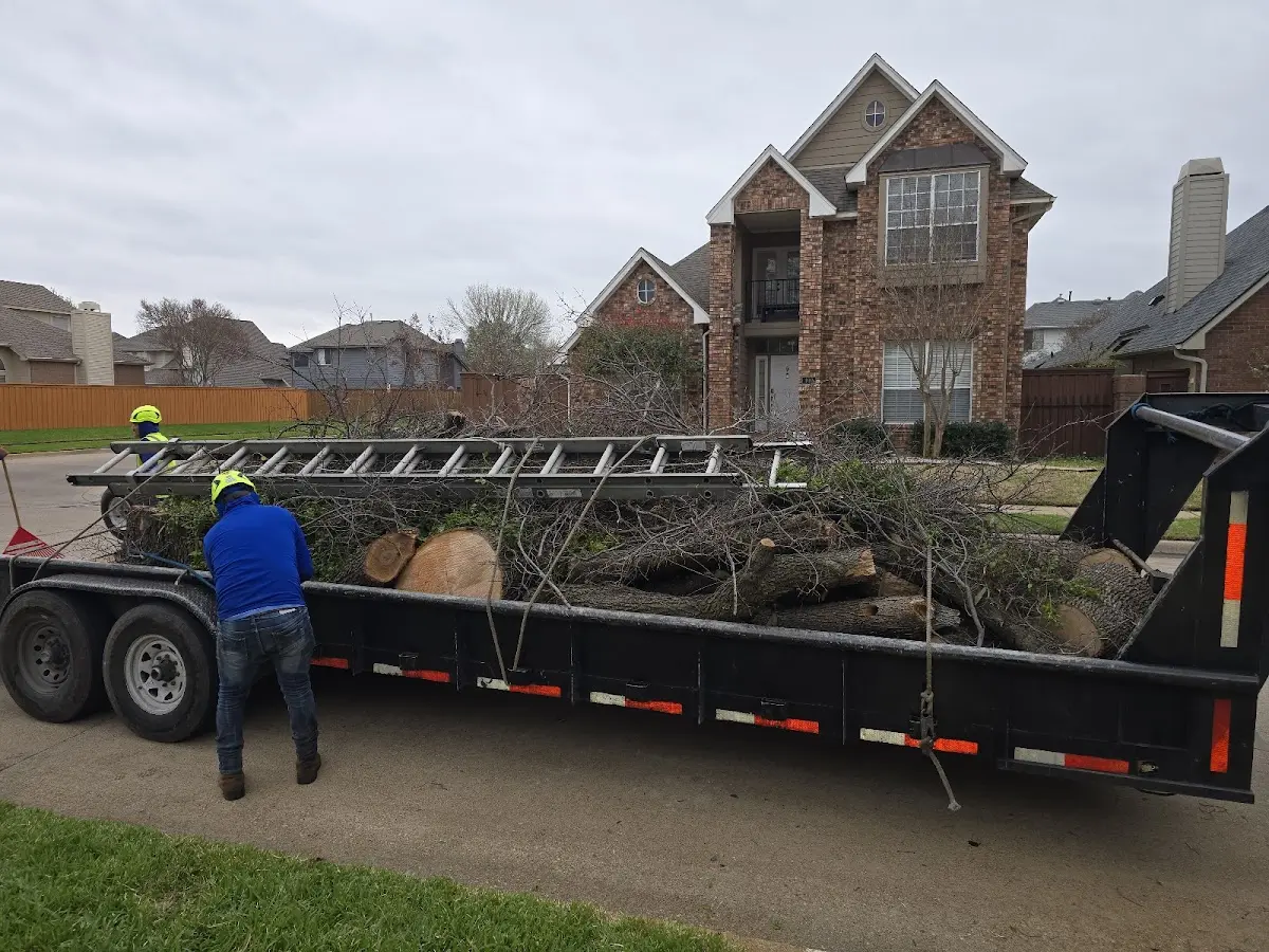 Expert Lot Clearing with proper safety equipment in San Joaquin